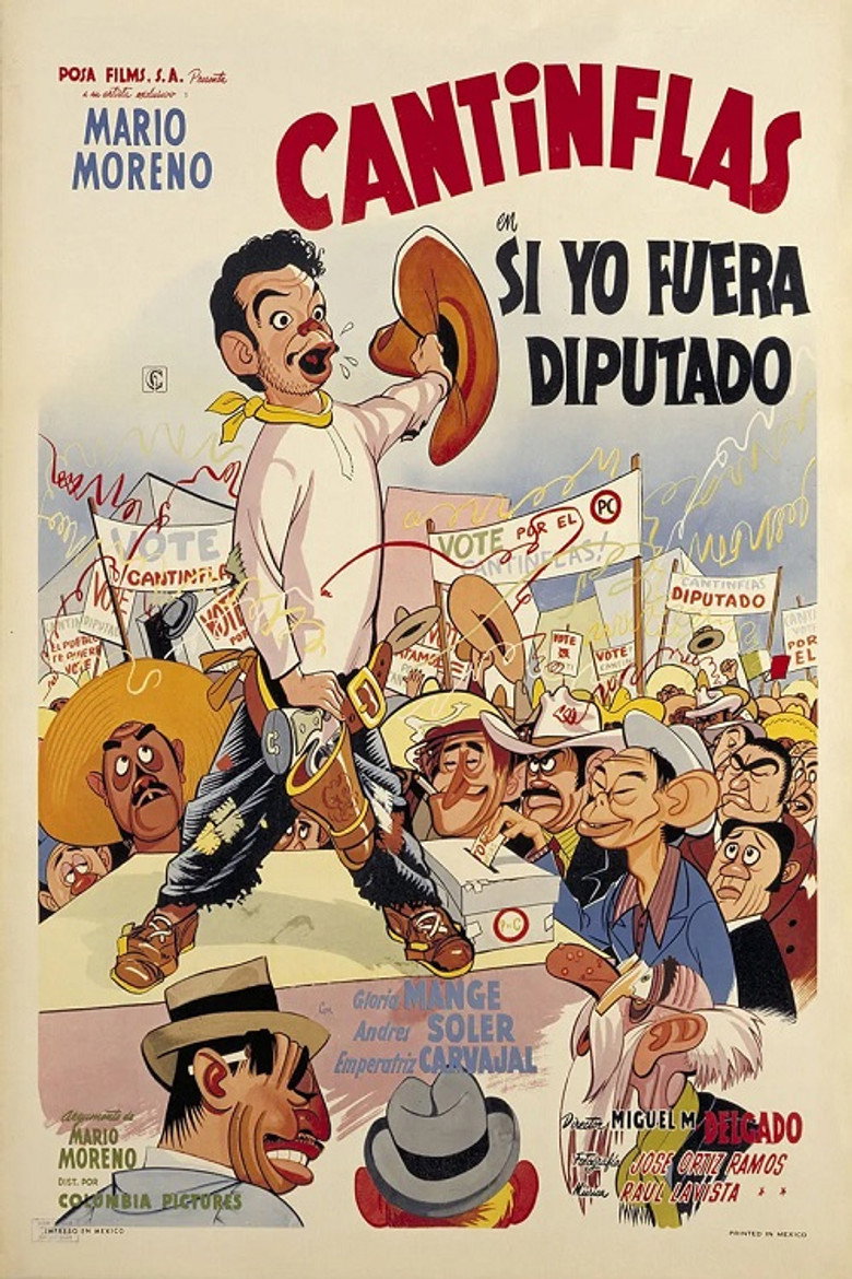 Póster la Película