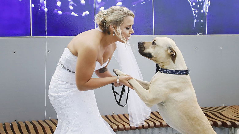 Still image for Top Jobs for Dogs season 1 episode 10: My Best Friend Still image for Top Jobs for Dogs season 1 episode 10: My Best Friend