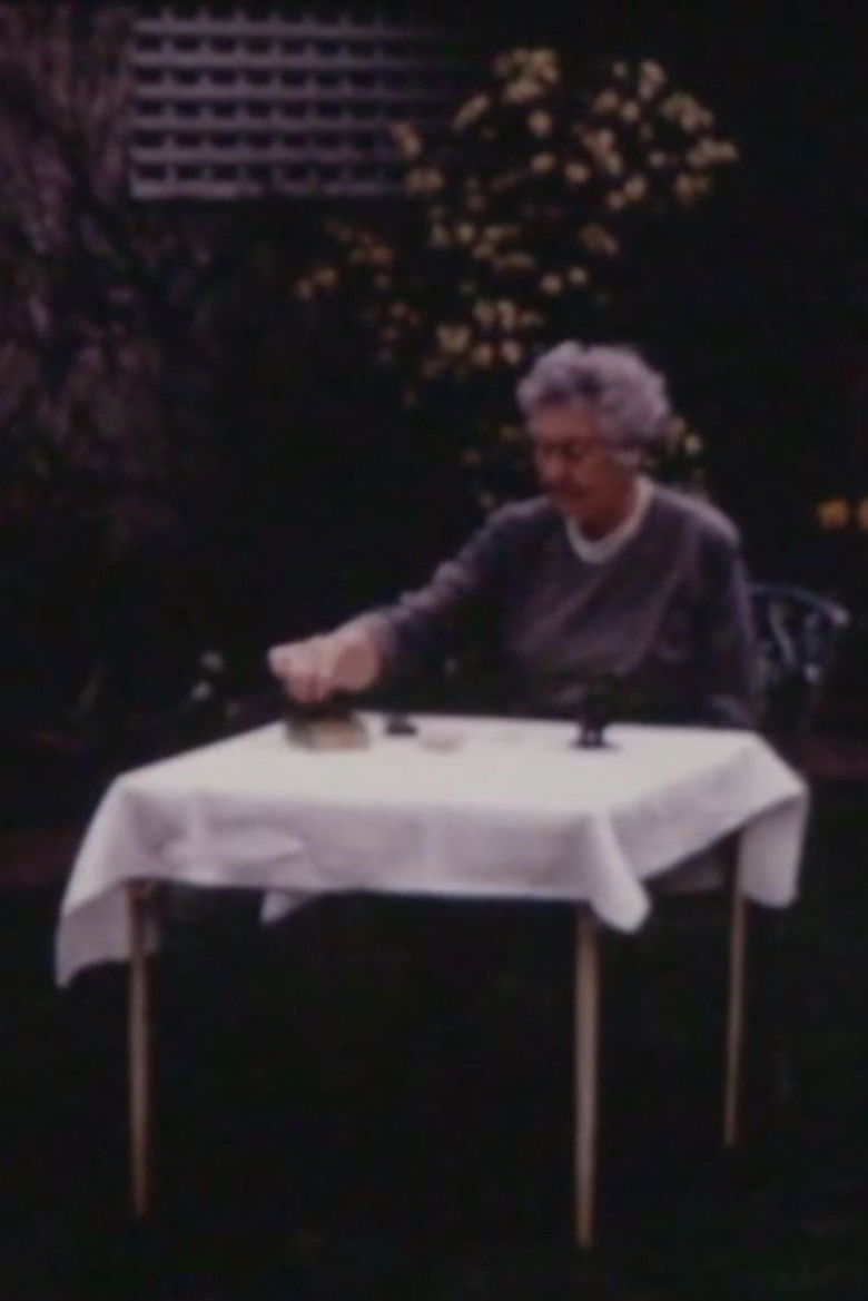 Imatge de The Flaming City