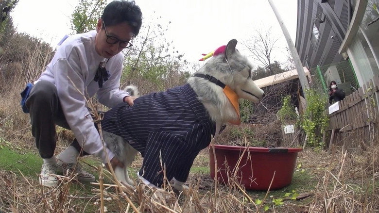 Still from Running Man - Season 1 Episode 643