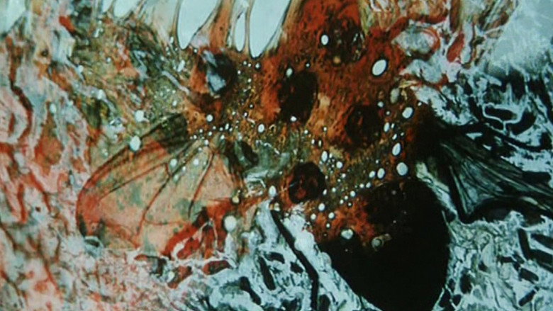 Frame from Witkacego wywoływanie duchów