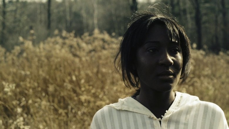 Gallery image from 8Tcl3btQ15kej9nLBVW8gtBXMG7.jpg