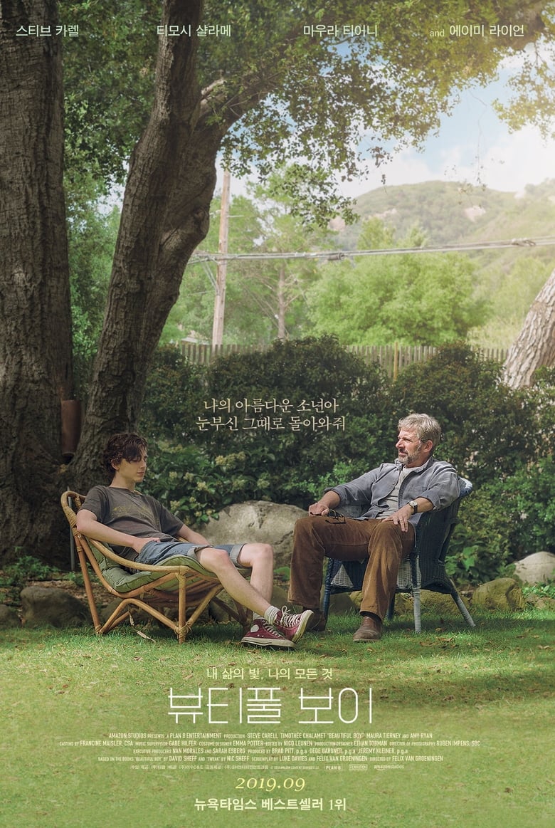 뷰티풀 보이(Beautiful Boy) poster