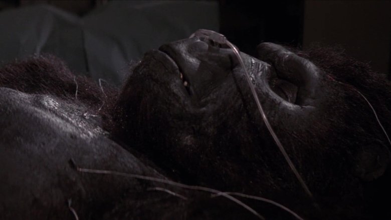 Gallery image from 8U8ViY2FW9yrix4Lhele2jIB7yZ.jpg