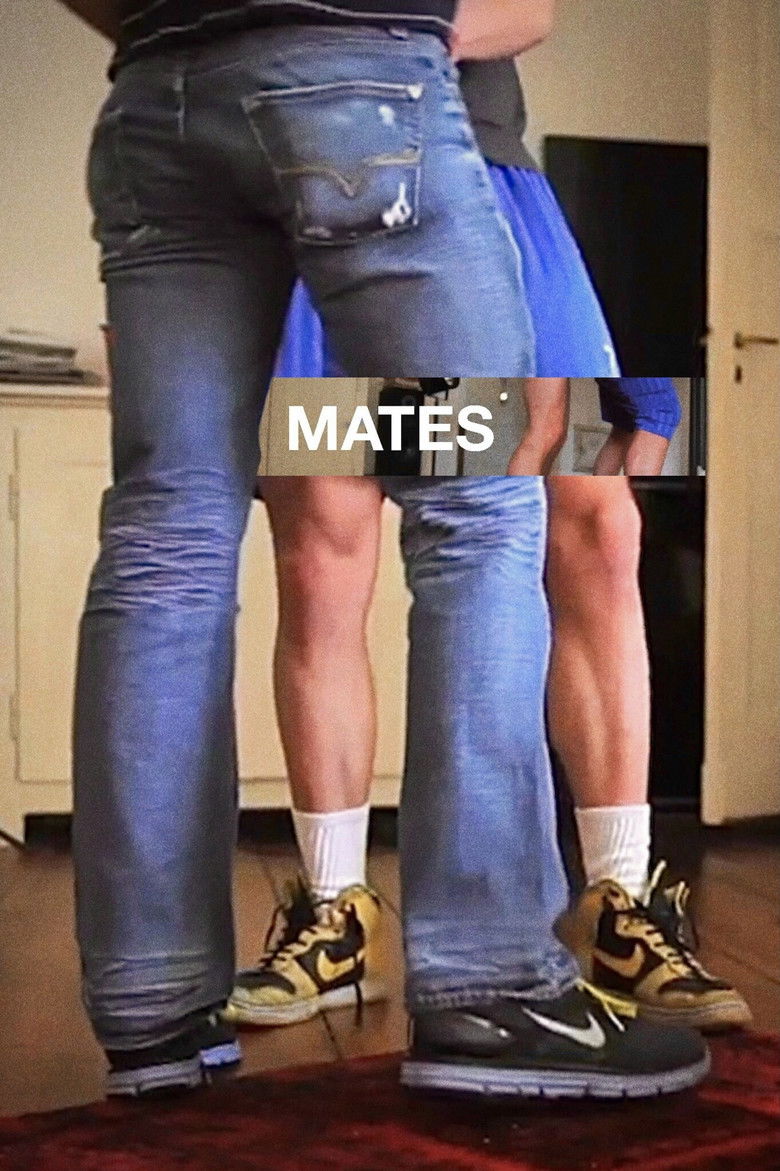 Imatge de Mates Extras