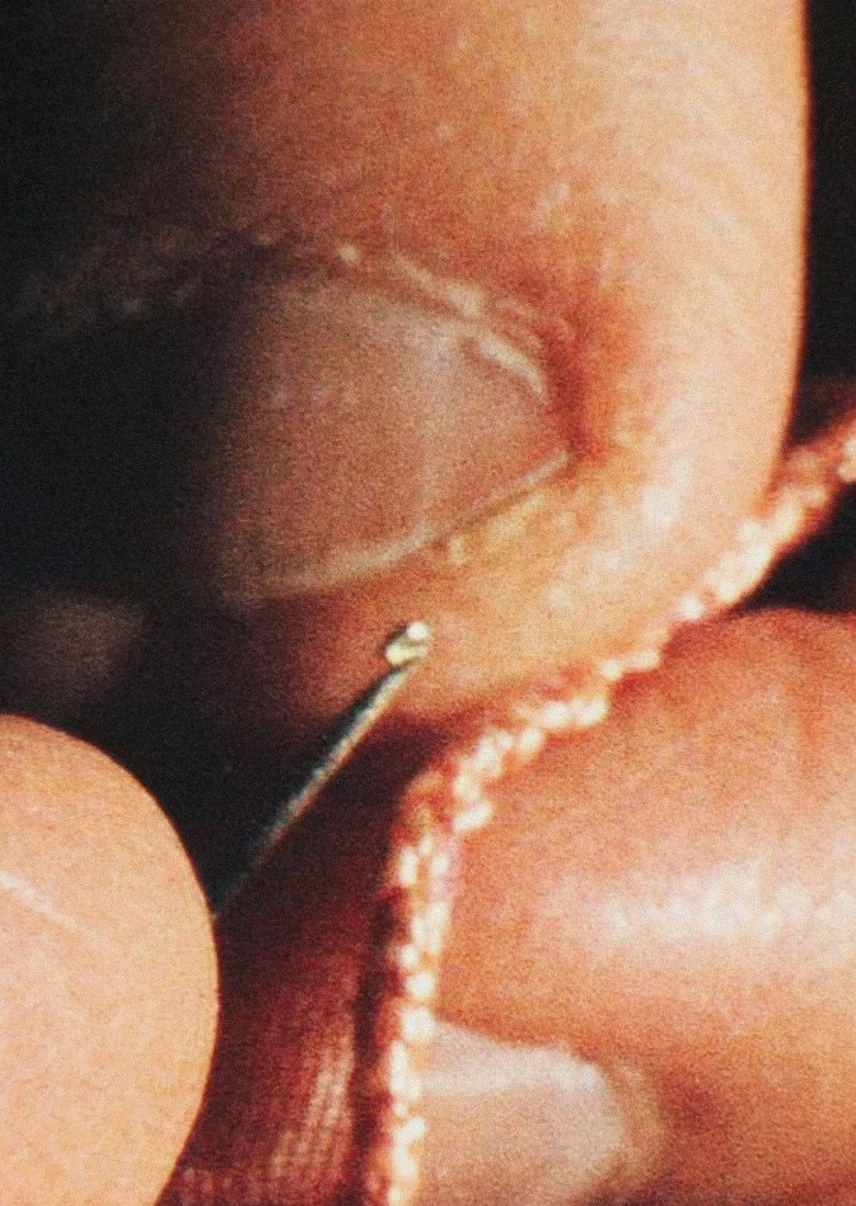 Imatge de Hands: Oxes