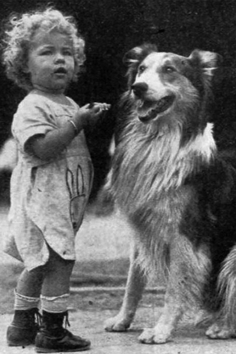 Imatge de No Parking