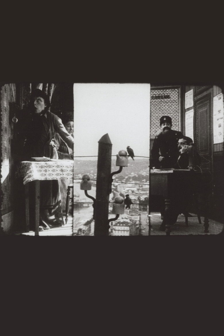 Imatge de La peur des ombres