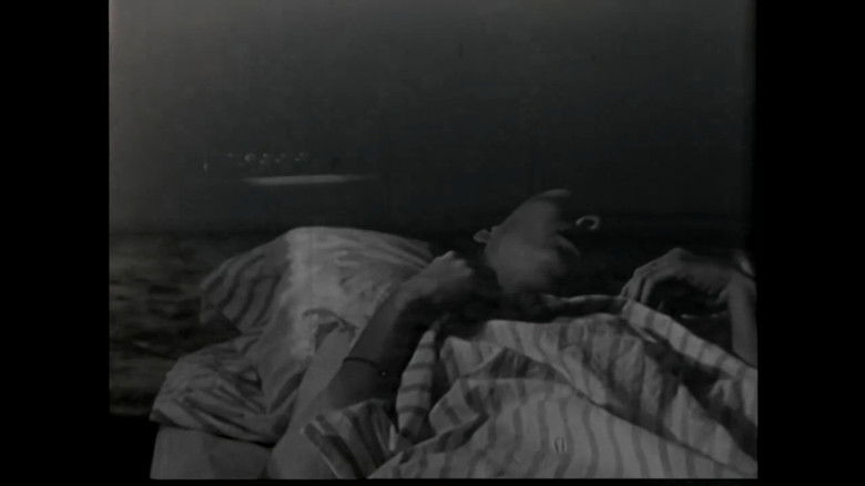 Gallery image from 8WRrhxQNQ6hKb6Wal729059SxBd.jpg