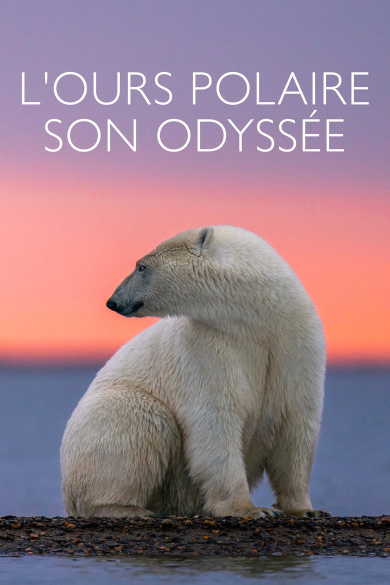 Affiche de L'HOMME QUI AIMAIT LES OURS