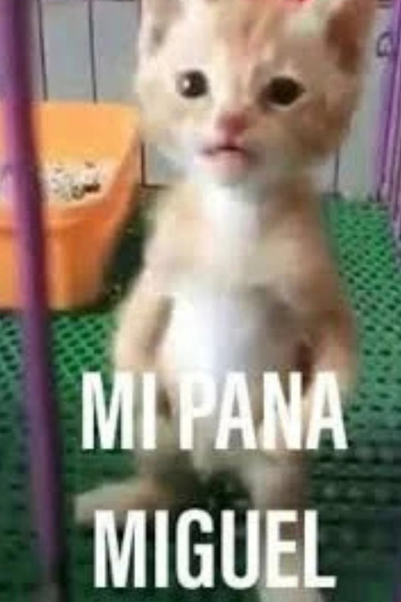 Mi Pana Miguel: La Película main poster