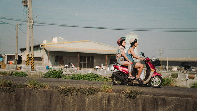 Imatge de 我家的事