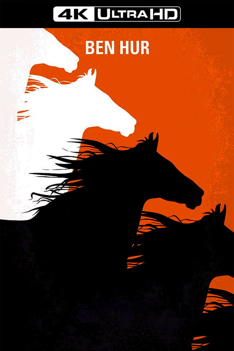 Póster la Película