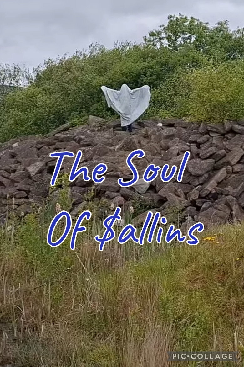 The Soul Of Sallins poster