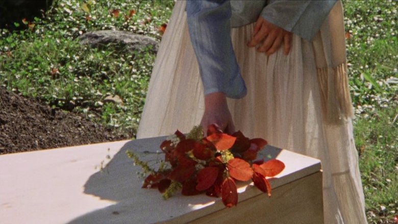 Pilgrim, Farewell (1980)