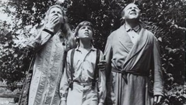 The Fool Killer (1965)