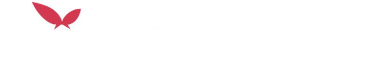 THE RIBBON HERO