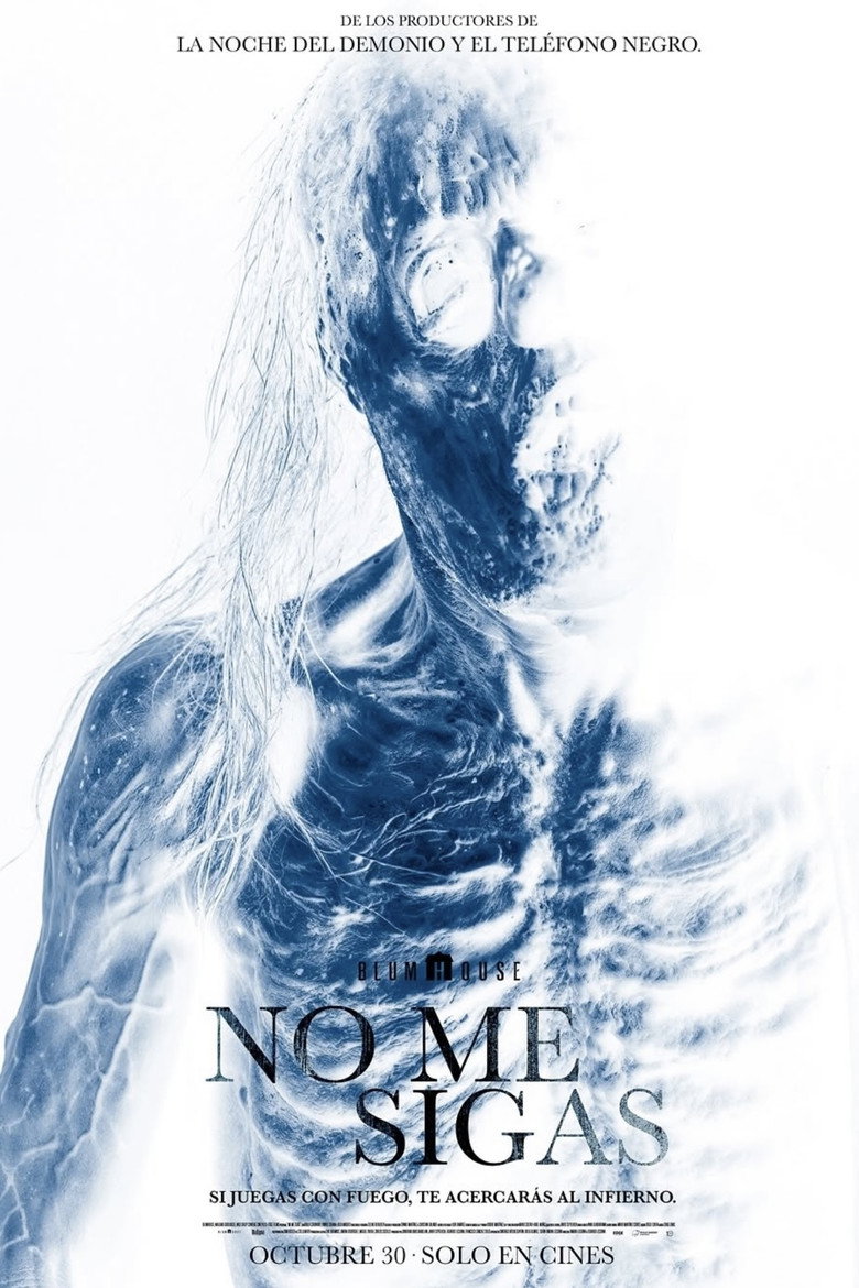 Póster la Película