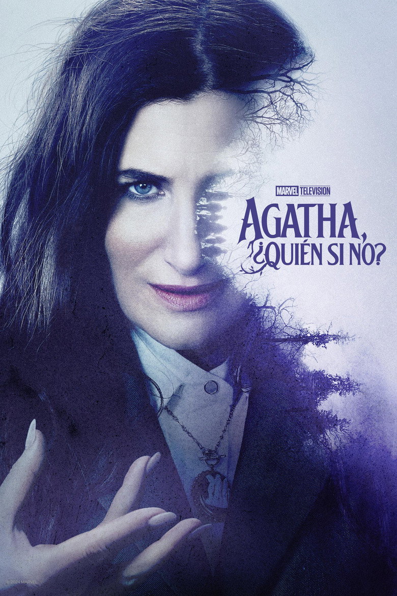 Póster la Serie