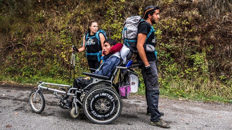 Camino sin límites