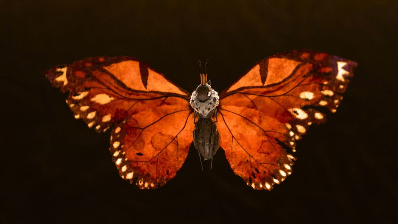 8aeblmfhl6pyqjbjsahak5icjwg