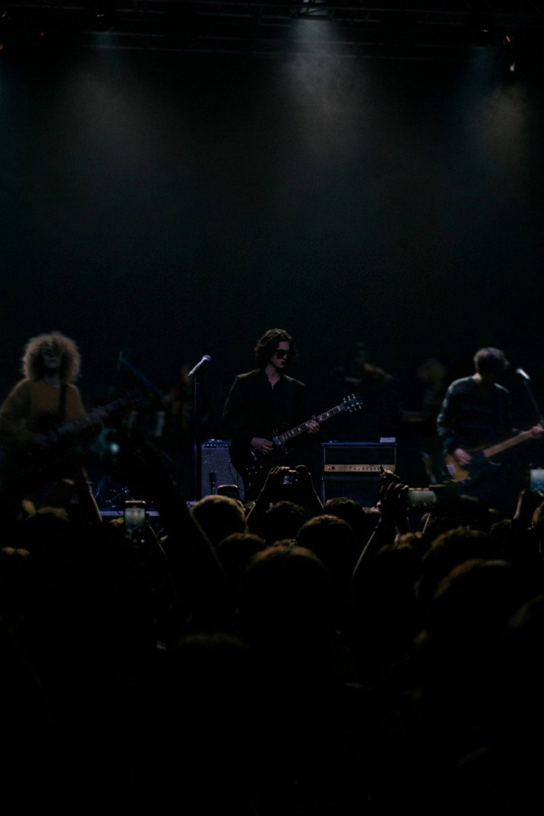 TheVeilers