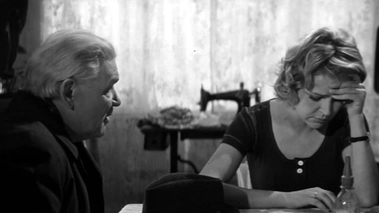 Black Prince backdrop 2