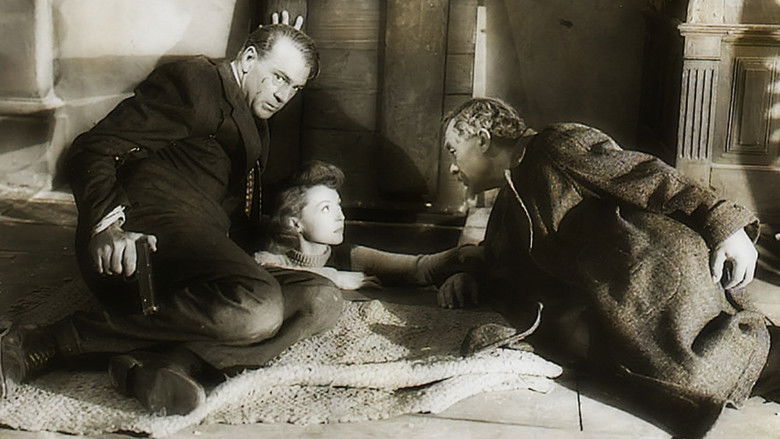 8bjydcs7l0udofvzzpvpxmksaqe