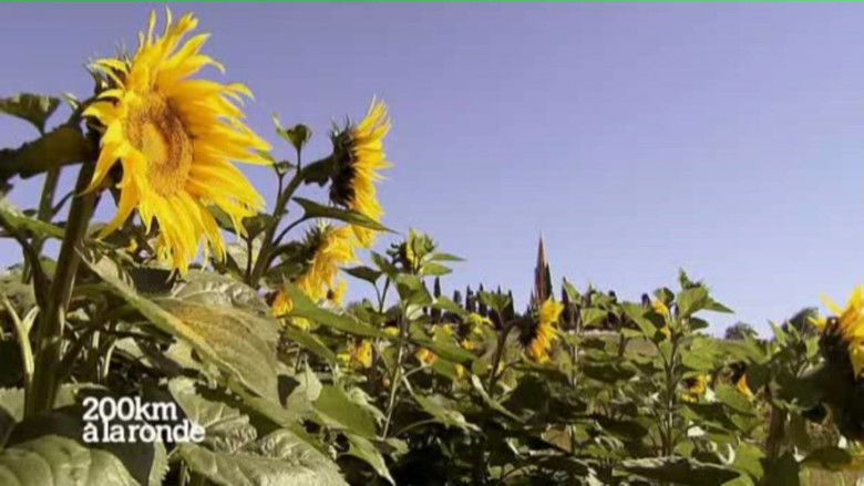 Still image for 200 km à la ronde season 1 episode 5: Episode 5