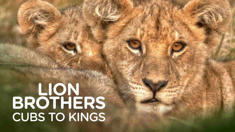 Backdrop for Lion Brothers: Cubs to Kings