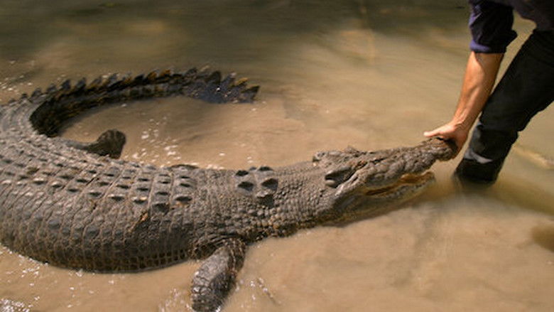 Still image for Matt Wright's Wild Territory season 1 episode 2: Life Insurance Ain't That Good, Baby Still image for Matt Wright's Wild Territory season 1 episode 2: Life Insurance Ain't That Good, Baby