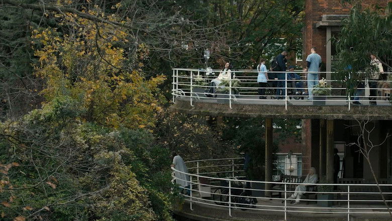 8dlolywbu7wqtrfweo8kljzhnov