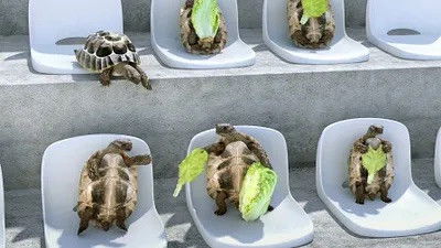 Still image for Athleticus season 1 episode 11: Episode 11