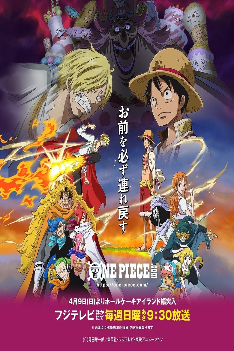 One Piece émission De Télévision Saison 19