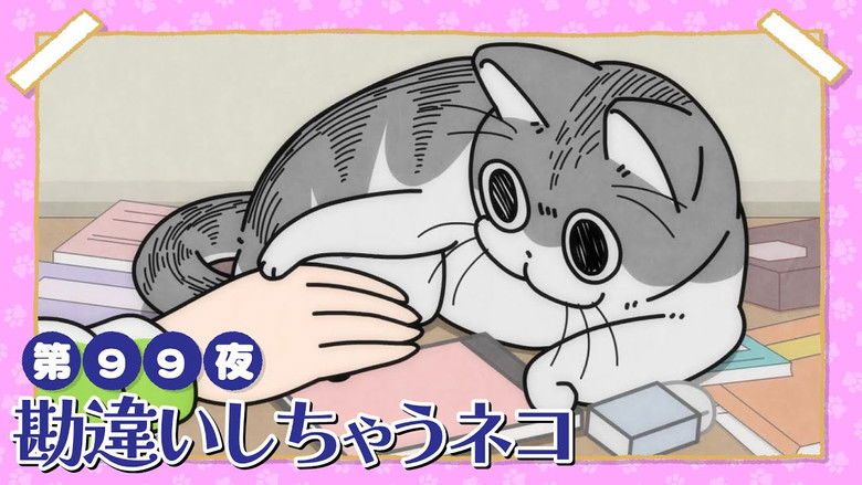 Still image for Nights with a Cat season 1 episode 99: Night 99: The Cat That Gets the Wrong Idea