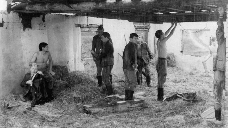 100 Days Before the Command (1991)