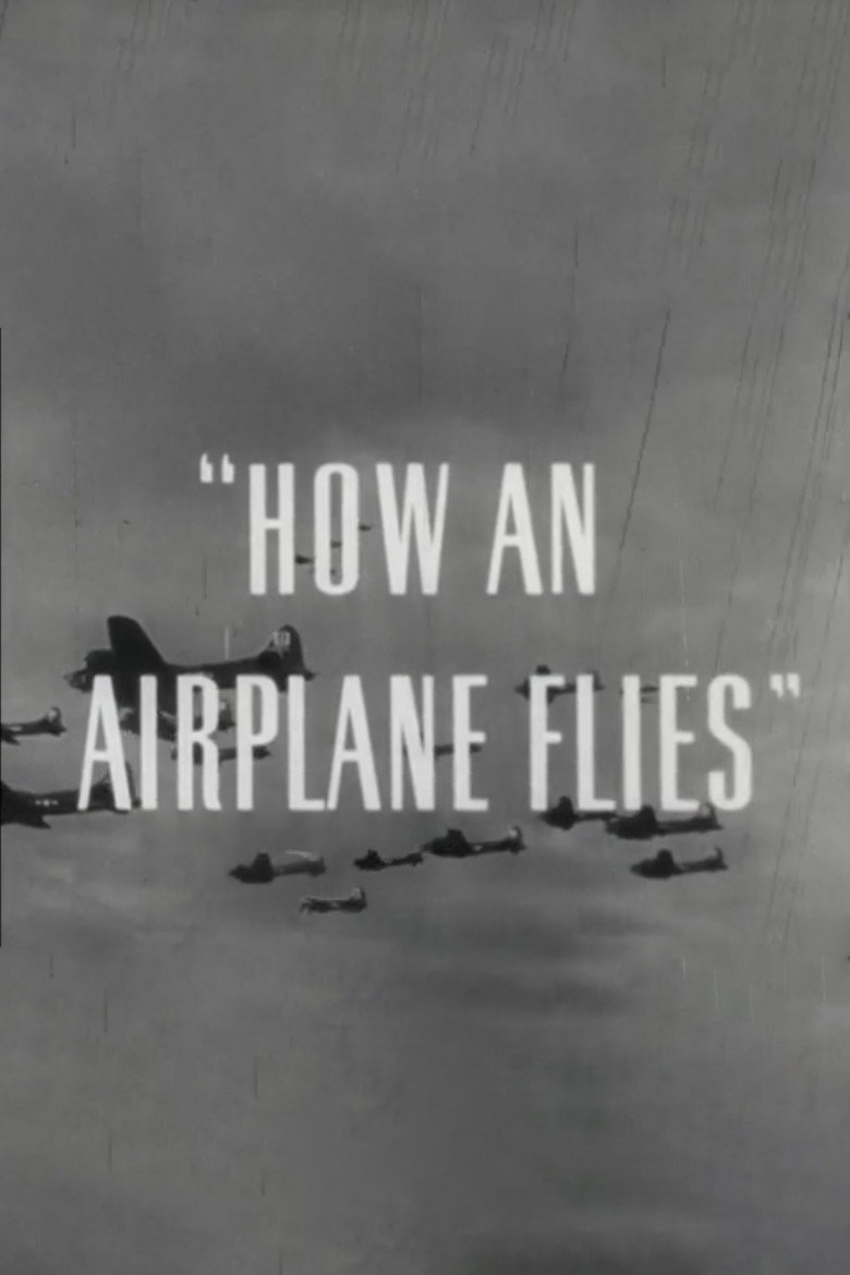 How An Airplane Flies background
