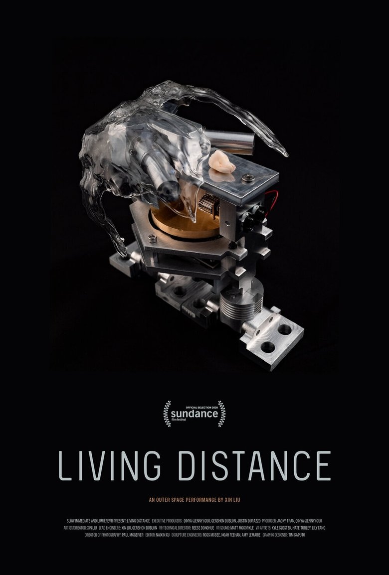 Living Distance main poster