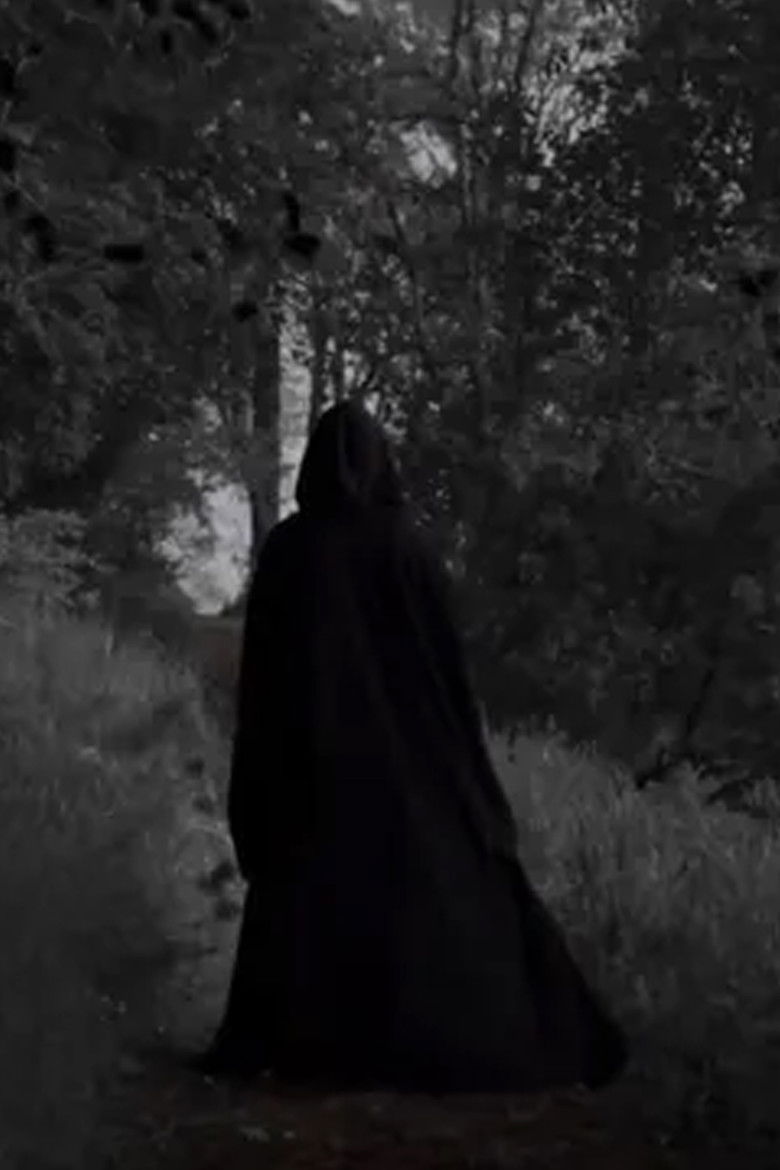 Imatge de Sinu Pimedus