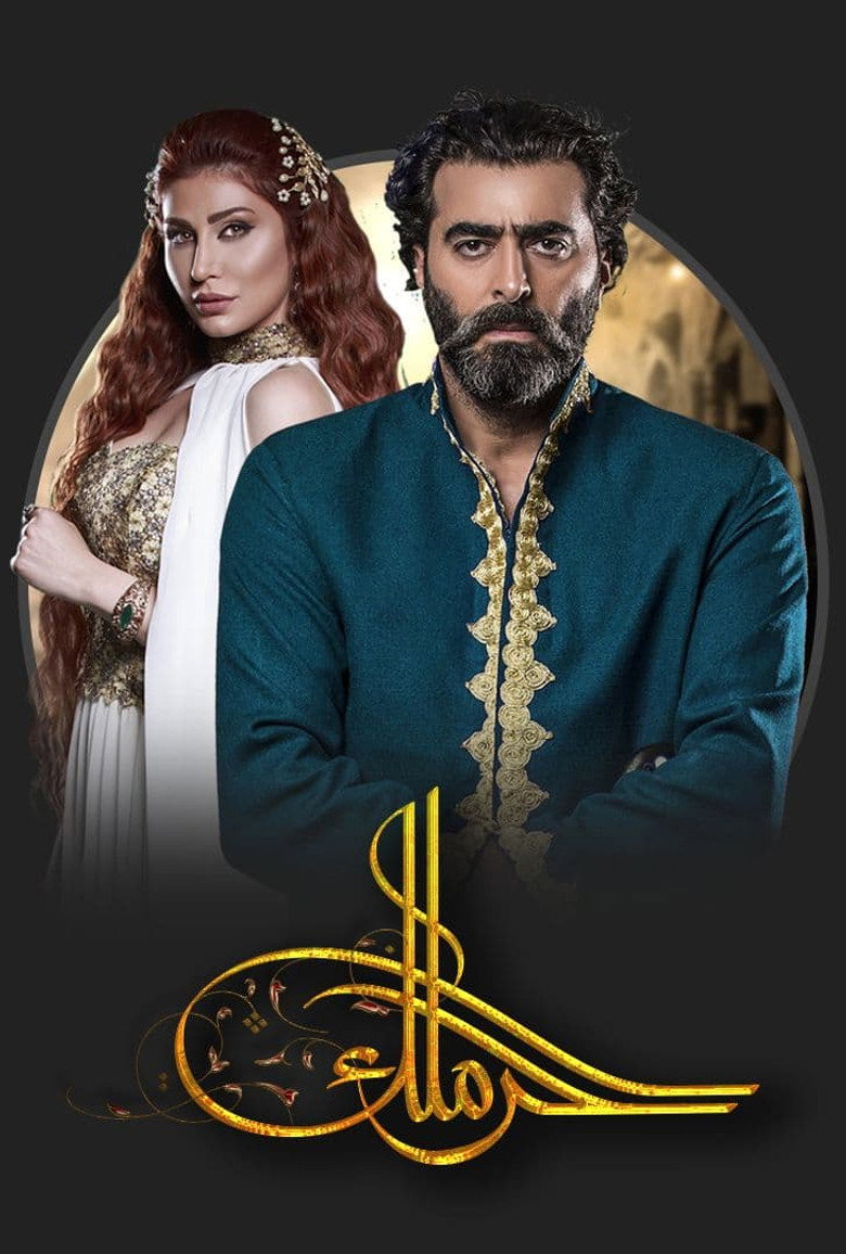 Affiche de THE HAREM