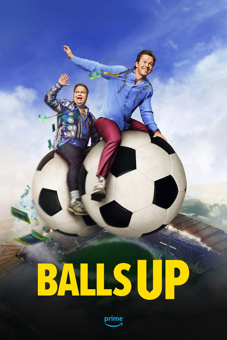 Póster la Película