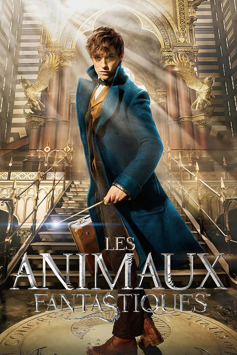Póster la Película