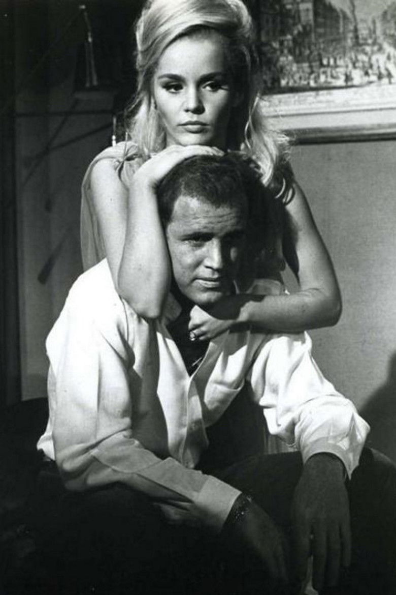 Imatge de Senyor, estimeu l’aneguet