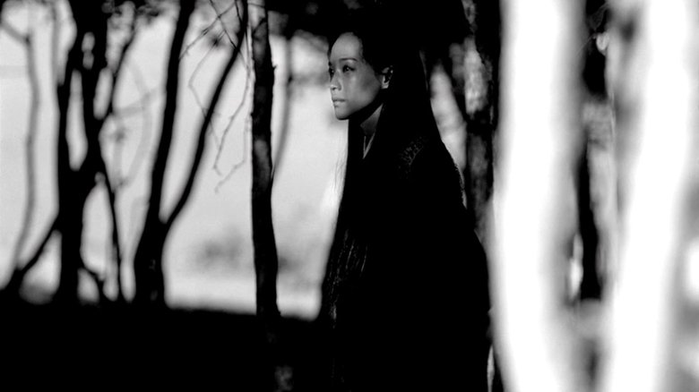 The Assassin (2015)