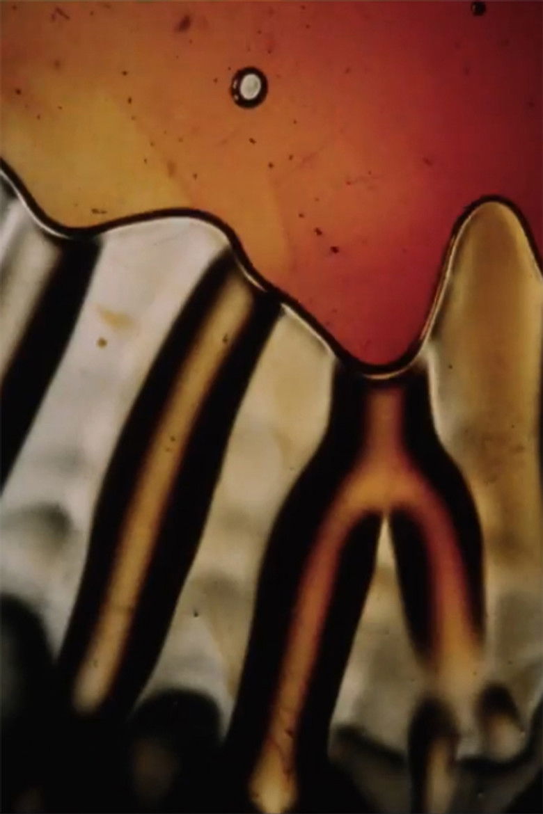 Imatge de Flicker / Light Show / Collage