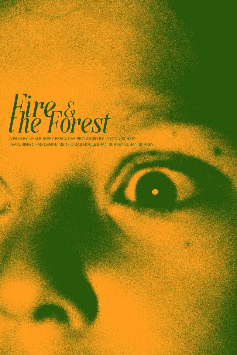 Imatge de Fire and the Forest