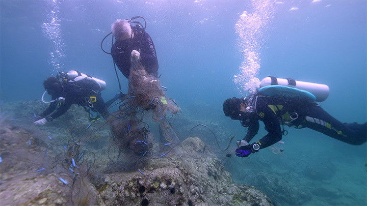 Still image for Dive Rules Deep Dive - Hong Kong season 1 episode 10: Episode 10