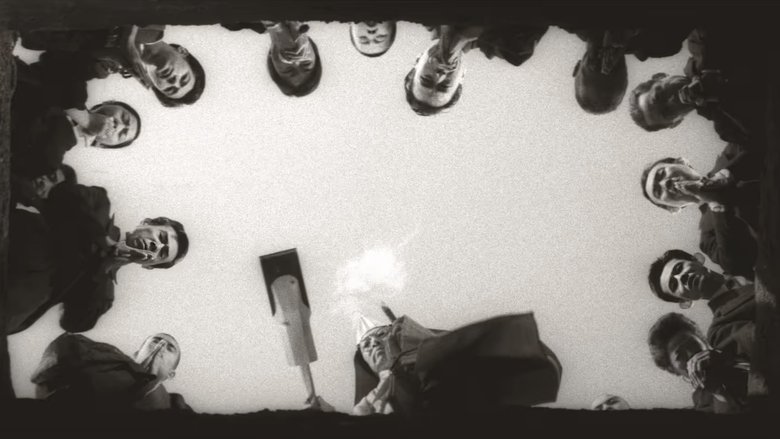 Gallery image from 8ifp4XEVrH3I6bmfrcRCX04pKKL.jpg