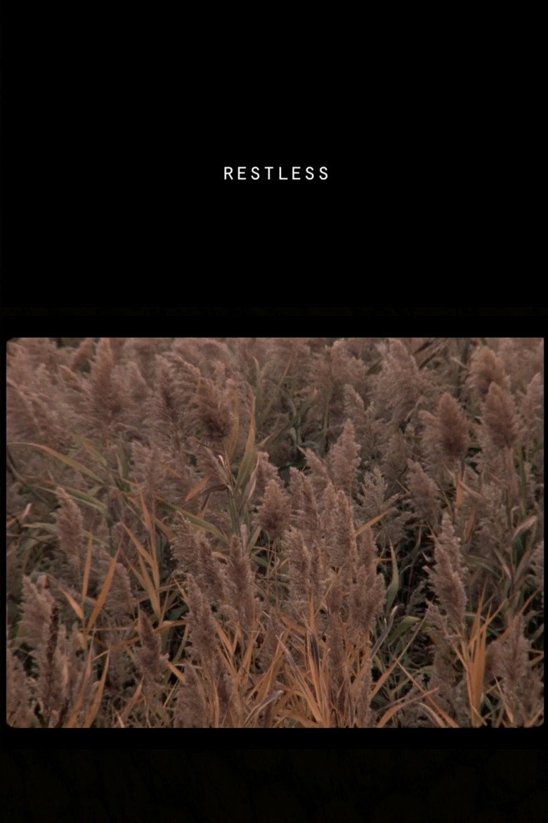 Film backdrop