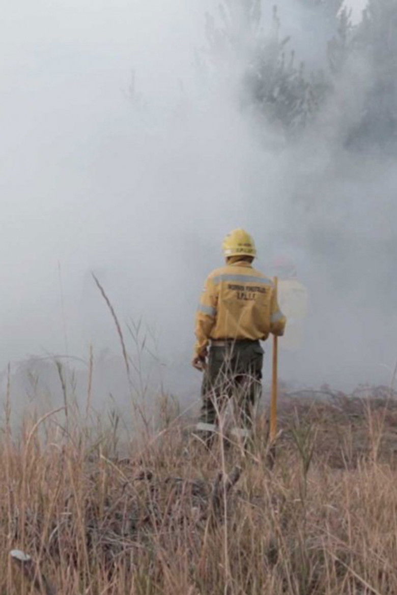 Imatge de El fuego que vimos